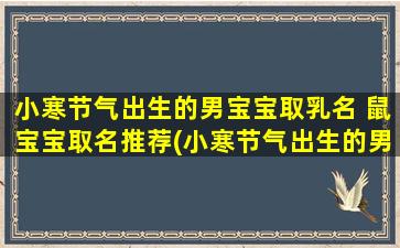 小寒节气出生的男宝宝取乳名 鼠宝宝取名推荐(小寒节气出生的男宝宝取乳名，推荐12个有趣的鼠年宝宝取名)